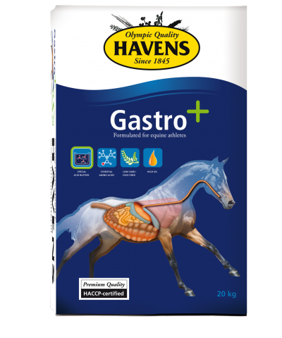 Havens Gastro plus 20 kg