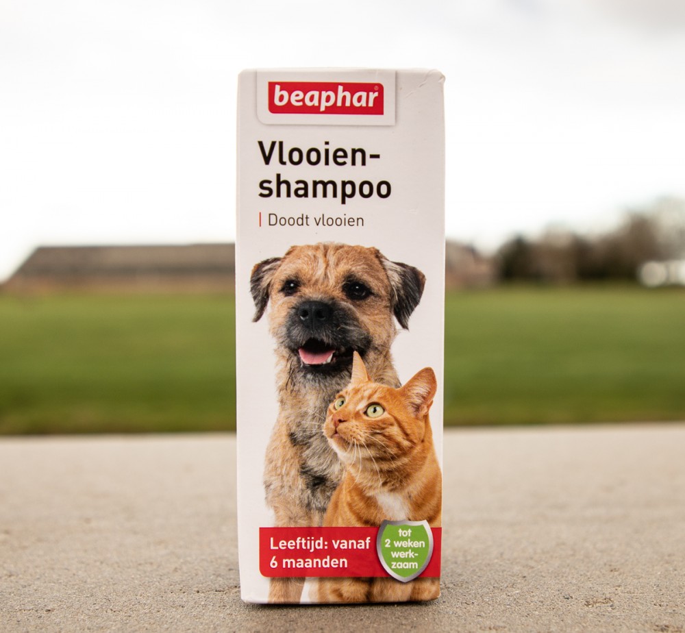 Achterhouden Verwacht het Polijsten Beaphar Vlooienshampoo 100ml voor honden en katten | Dierenvoerwinkel.nl